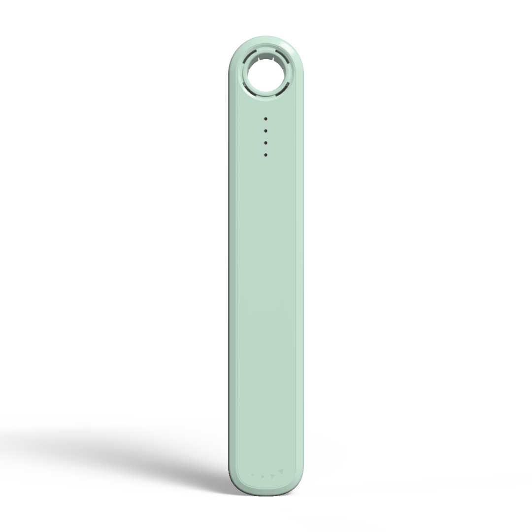 Case #color_Mint Green