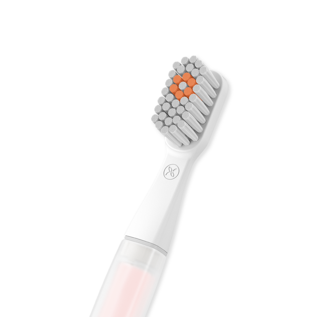 Details #color_Sakura Pink